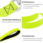 Nylon Webbing Rechargeable LED Dog Leash - BSEEN Direct
