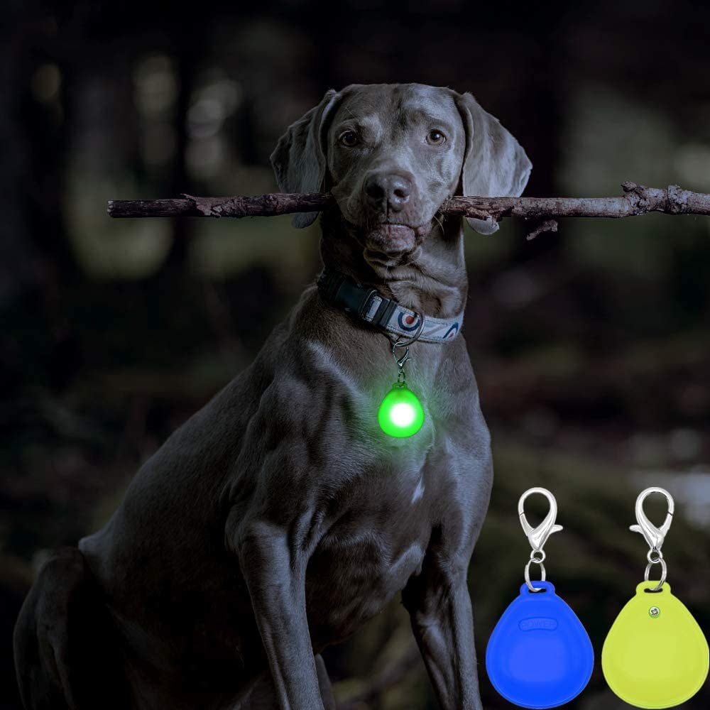 BSEEN 2 Pack LED Dog Tags - BSEEN Direct