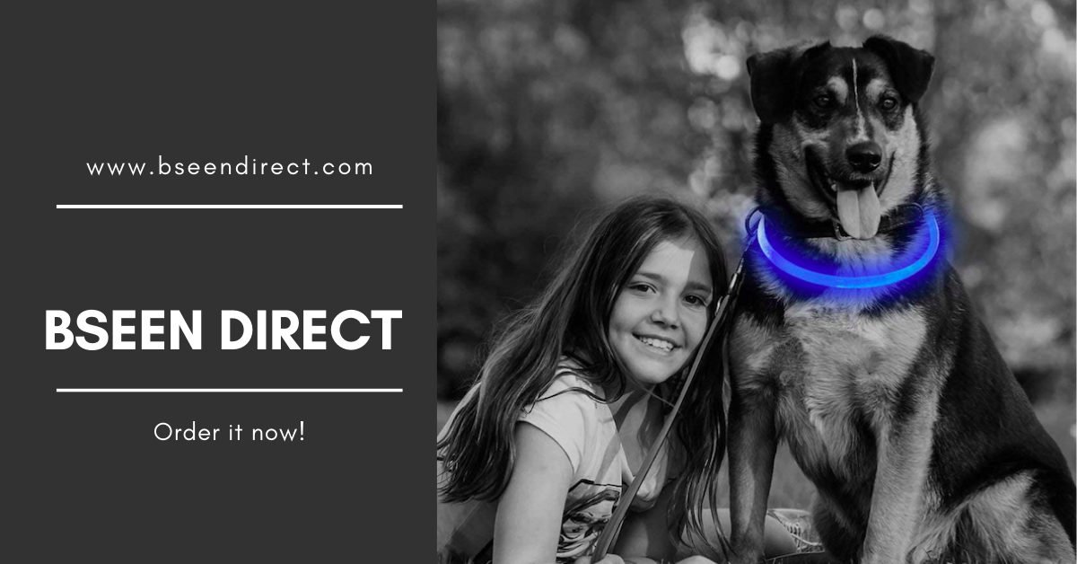 How to Select A Good LED Dog Collar? | BSEEN Direct