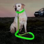 Nylon Webbing Rechargeable LED Dog Leash - BSEEN Direct
