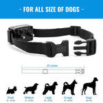 Remote Control Dog Training Bark Collar - BSEEN Direct