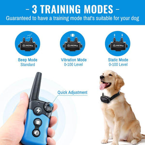 Remote Control Dog Training Bark Collar - BSEEN Direct