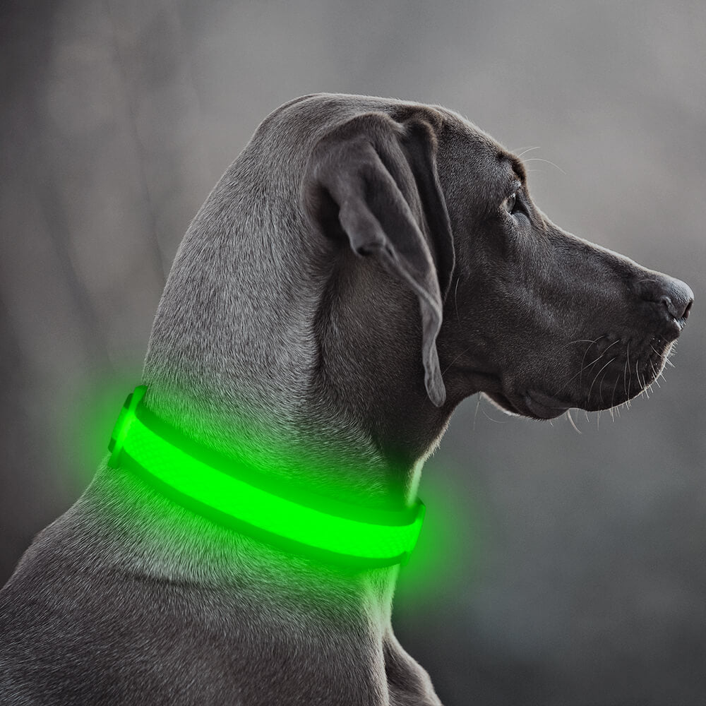 BSEEN USB Rechargeable Light Up Mesh LED Dog Collar - BSEEN Direct