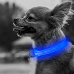 LED Dog Collar for Small Dogs and Cats - BSEEN Direct