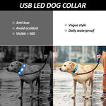 BSEEN Double-Line LED Dog Collar - BSEEN Direct