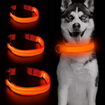 BSEEN Nylon Reflective LED Dog Collar - BSEEN Direct