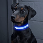 BSEEN Super Bright LED Dog Collar - BSEEN Direct