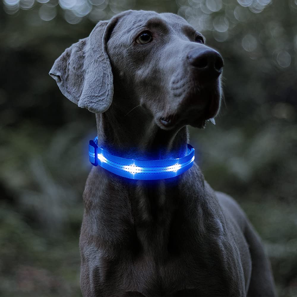 BSEEN Reflective Light Up Dog Collar - BSEEN Direct