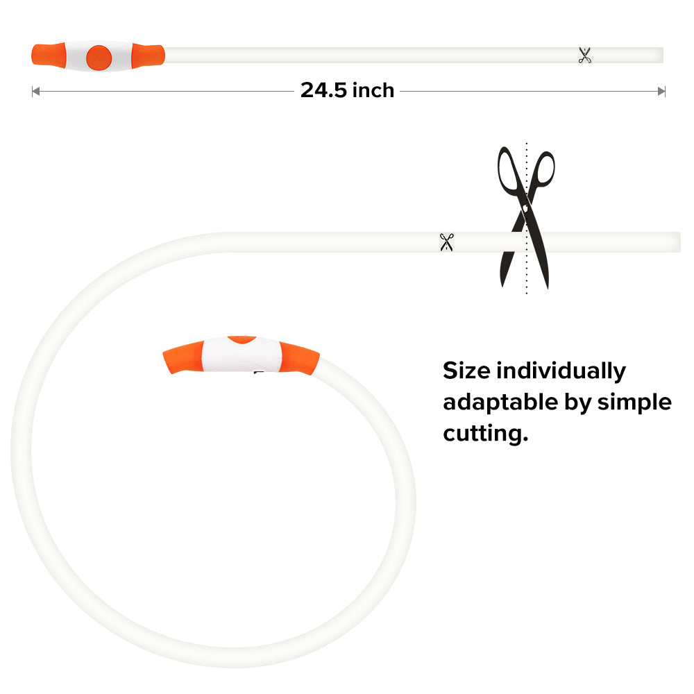 LED Dog Collar Cuttable Size USB Rechargeable BSEEN BSEEN Direct