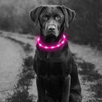 BSEEN Silicone LED Dog Collar - BSEEN Direct