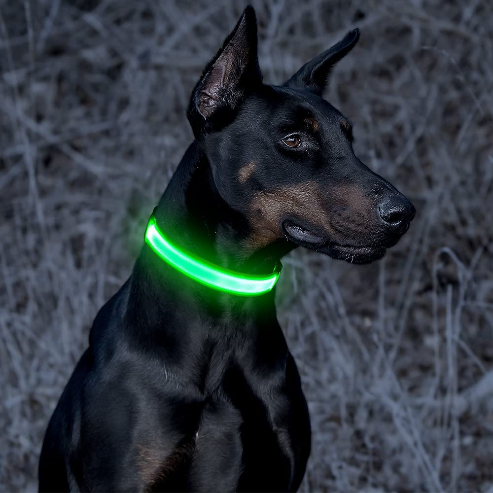 BSEEN Super Bright LED Dog Collar - BSEEN Direct